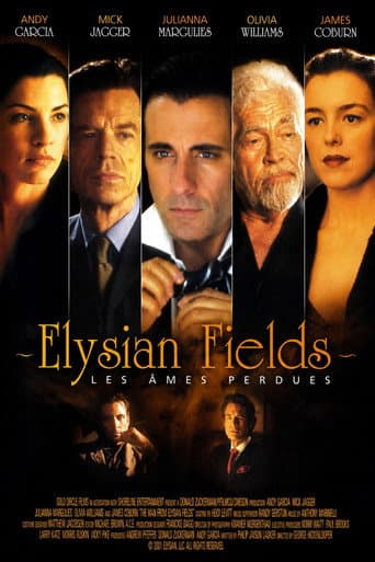 L'Homme d'Elysian Fields poster