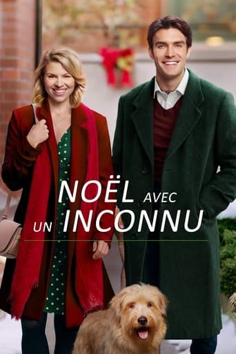 Noël avec un inconnu poster