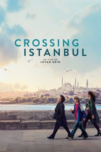 Crossing Istanbul