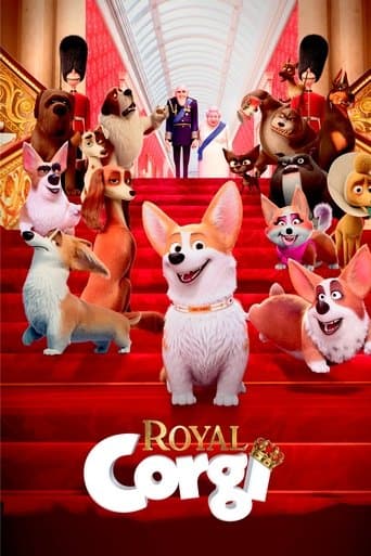 Royal Corgi