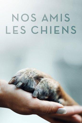 Nos amis les chiens poster