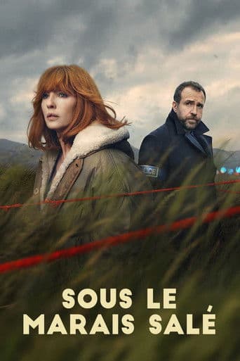 Sous le marais salé poster