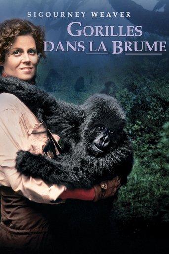 Gorilles dans la Brume poster
