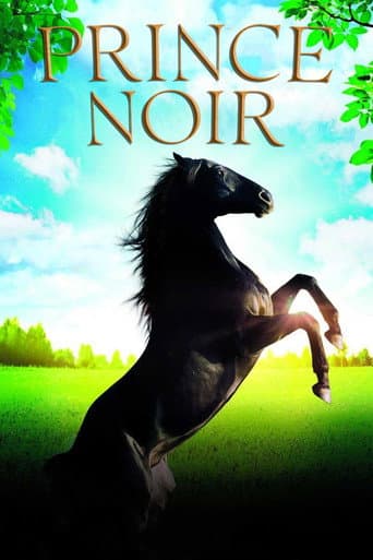 Prince Noir poster