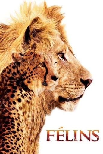 Félins