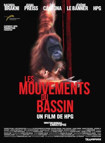 Les Mouvements du bassin