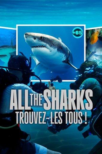All the Sharks : Trouvez-les tous ! poster