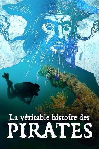La Véritable histoire des pirates poster