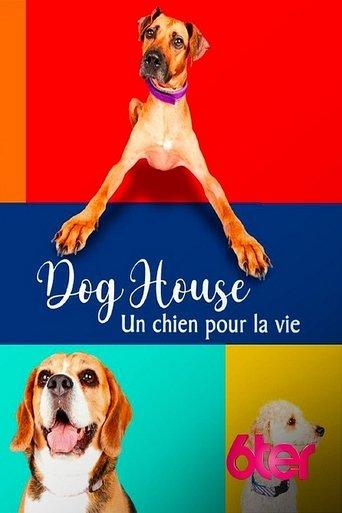 Dog House : Un chien pour la vie poster