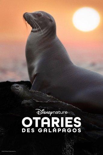 Otaries des Galápagos poster