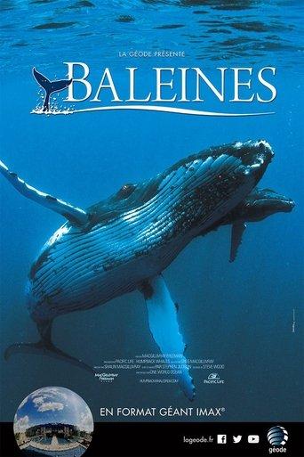 Baleines poster