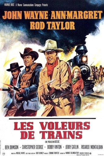 Les Voleurs de Trains poster