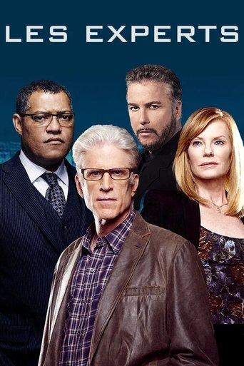 Les Experts poster