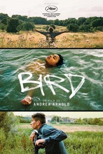 Bird poster