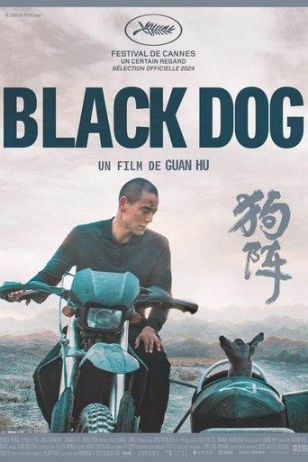 Black Dog poster