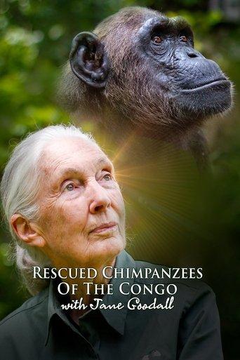 Jane Goodall et les chimpanzés de Tchimpounga poster