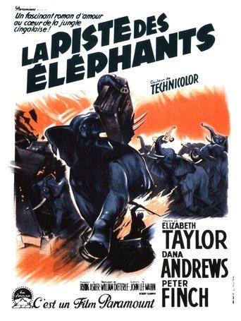 La Piste des éléphants poster