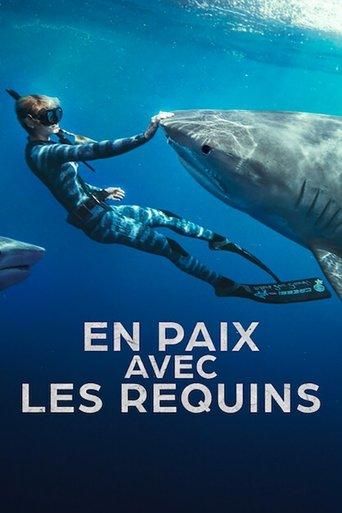 En paix avec les requins poster