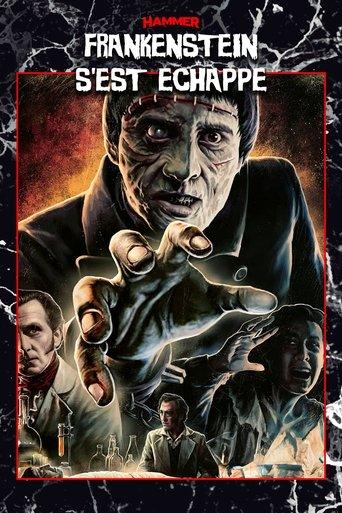 Frankenstein s'est échappé ! poster