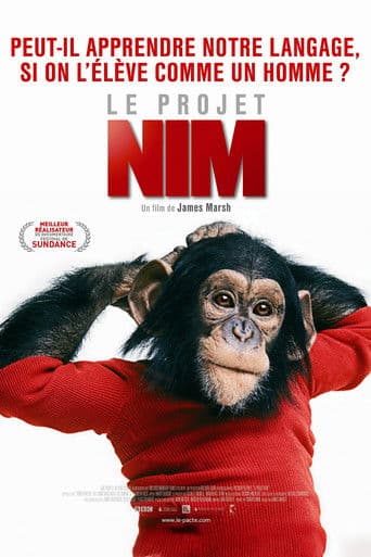 Le Projet Nim