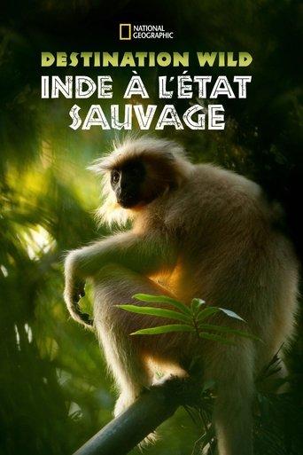 Destination Wild : L'Inde à l'état sauvage poster
