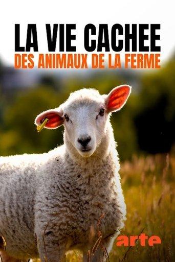 La vie cachée des animaux de la ferme poster