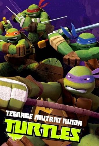 Les Tortues Ninja poster