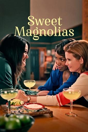 À l'ombre des magnolias poster