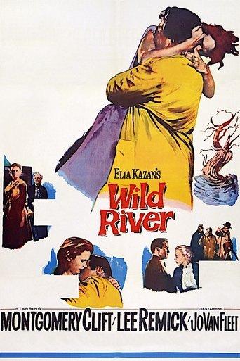 Le Fleuve sauvage poster