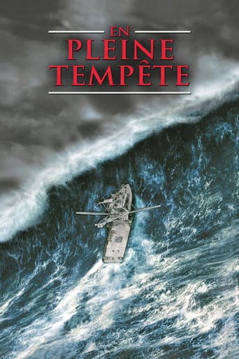 En pleine tempête poster