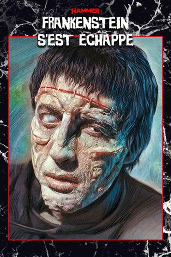 Frankenstein s'est échappé ! poster