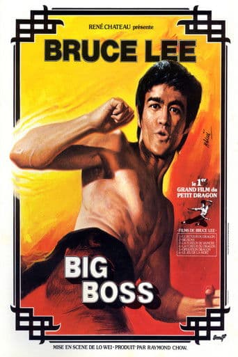 Big Boss poster