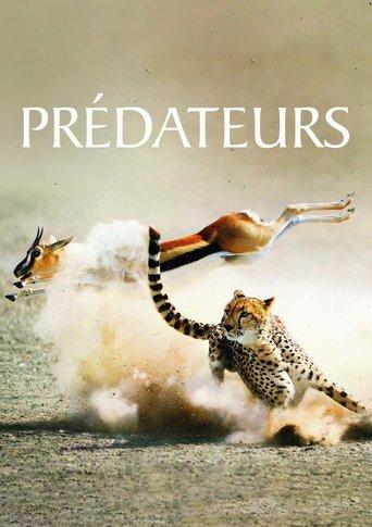 Prédateurs poster