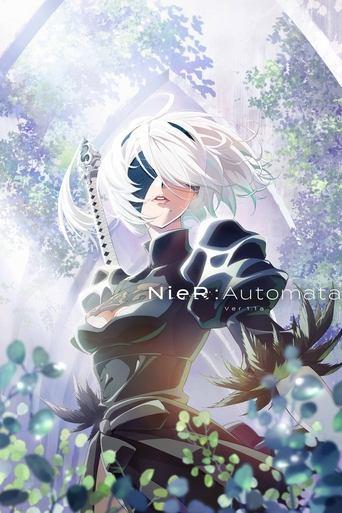NieR Automata Ver1.1a poster
