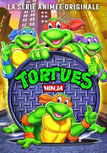 Les Tortues Ninja poster