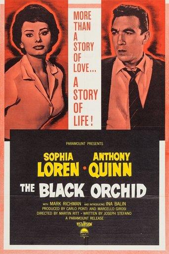 L'Orchidée noire poster