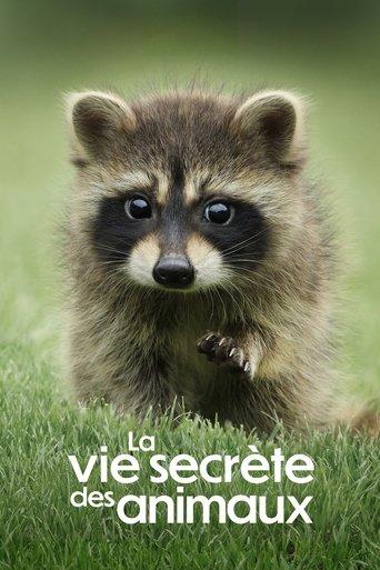 La Vie secrète des animaux poster