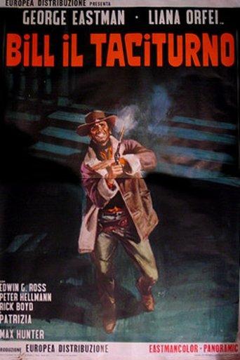 Django, le taciturne poster