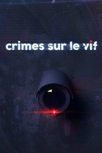 Meurtres sous surveillance poster