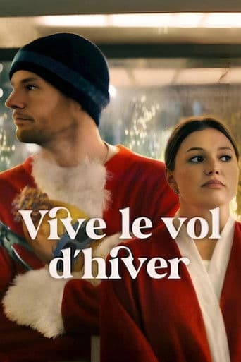 Vive le vol d'hiver poster