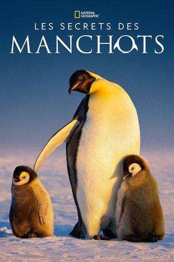 Les Secrets des manchots poster