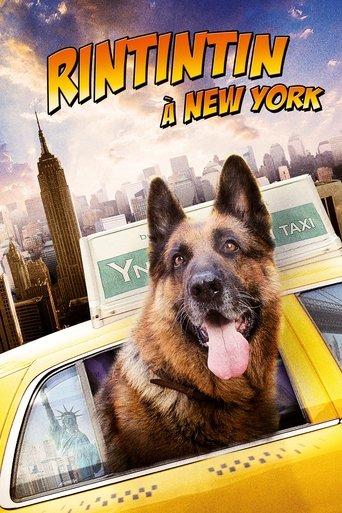 Rintintin à New-York poster