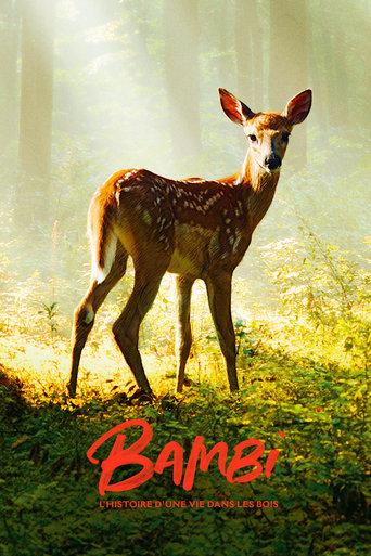 Bambi, l'histoire d'une vie dans les bois poster