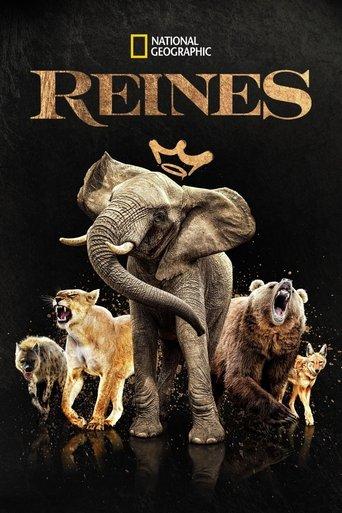 Reines poster