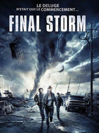 Final Storm poster
