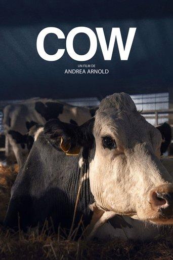 Cow poster