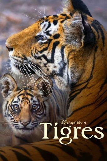 Tigres poster