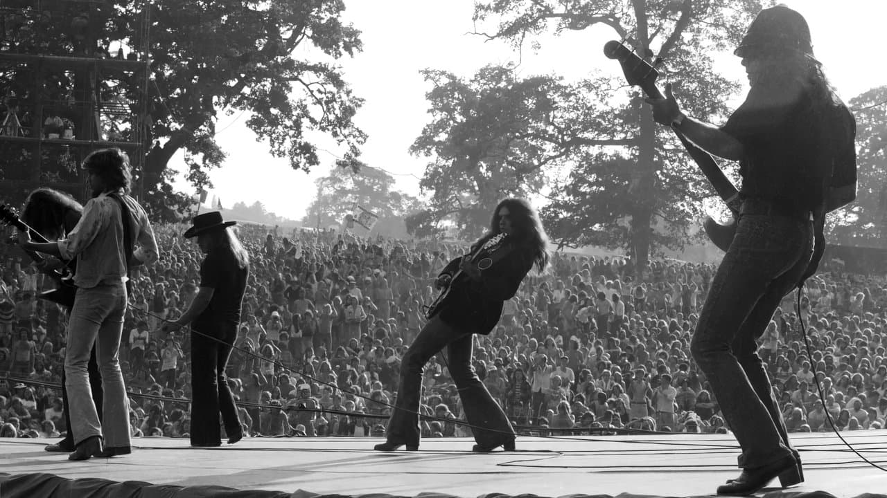 Lynyrd Skynyrd - Knebworth Festival 1976 backdrop