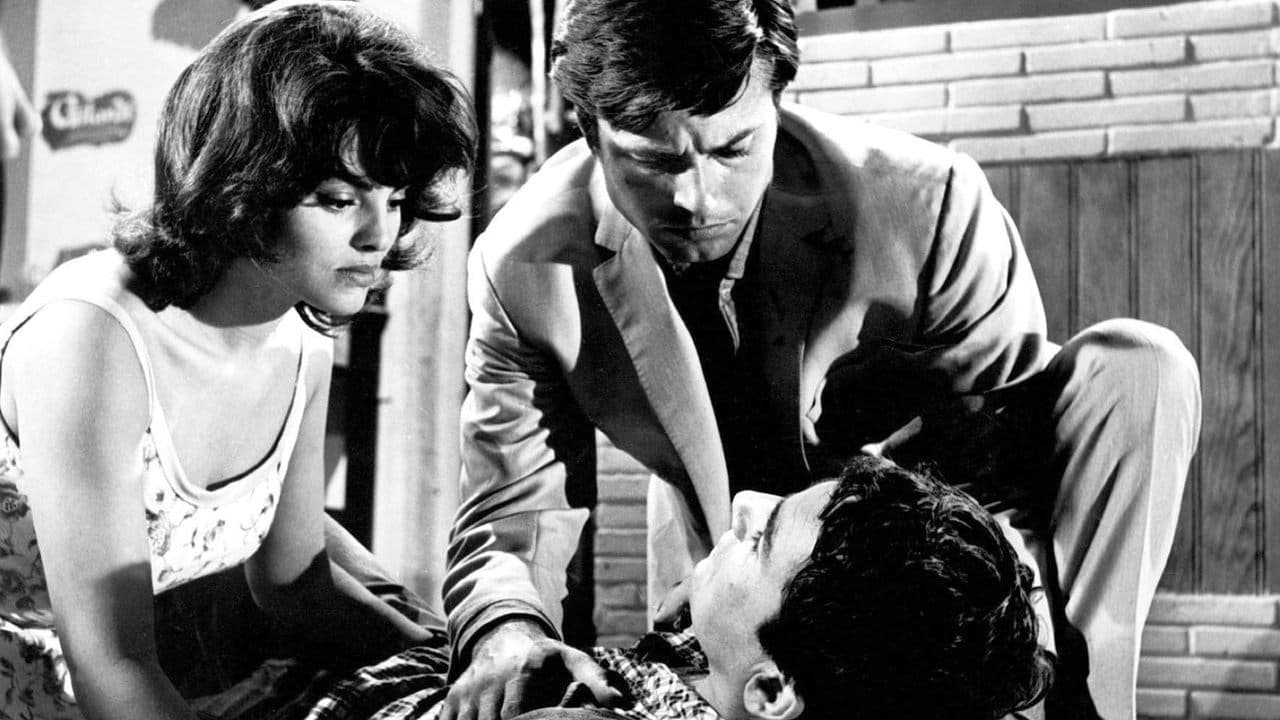 Chair de poule backdrop