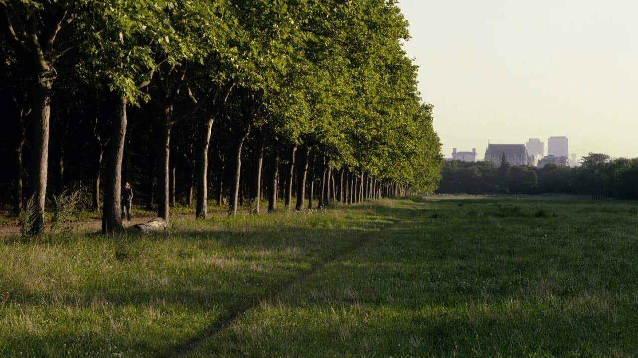 Le bois dont les rêves sont faits backdrop